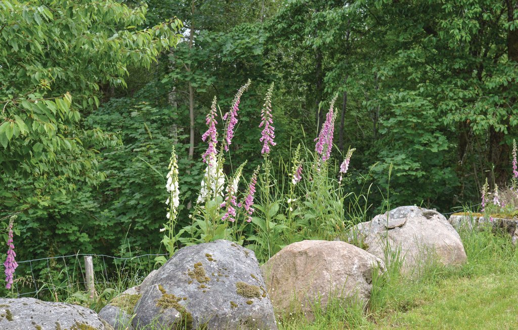 Stuga i Torup, 6 bäddar – bild 4 av 5