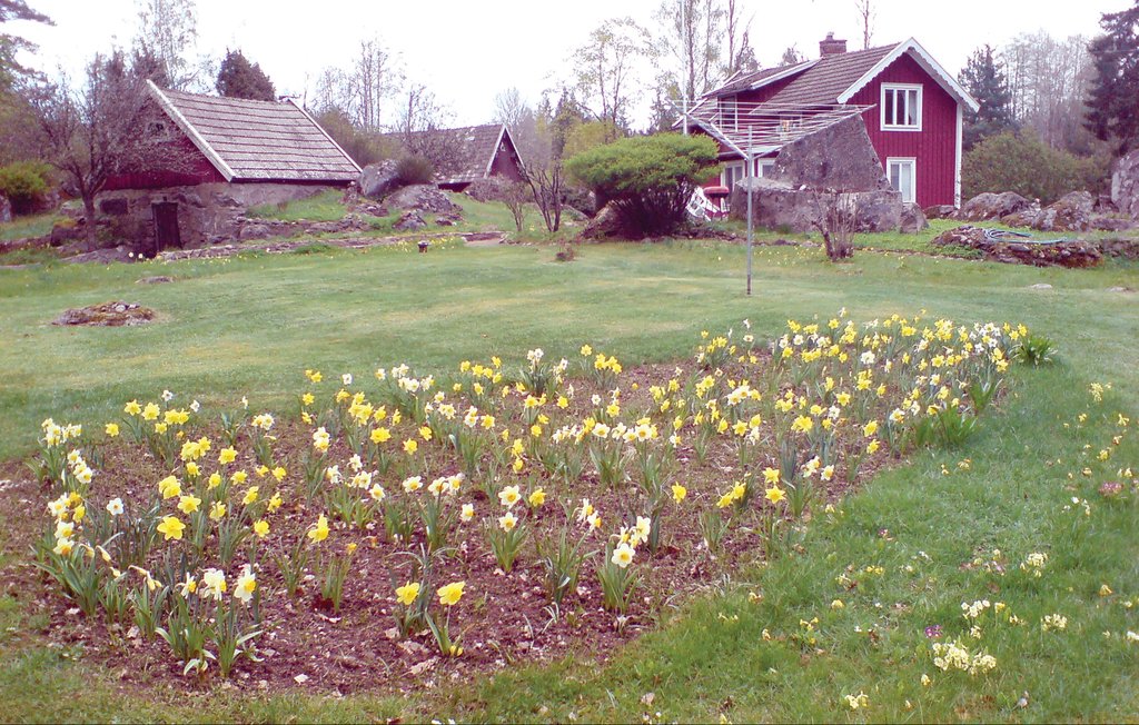 Semesterhus - Rödeby , Sverige - S20041 4