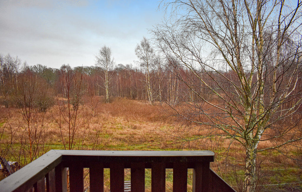 Ferienwohnung - Ronneby/Millegarne , Schweden - S20220 5