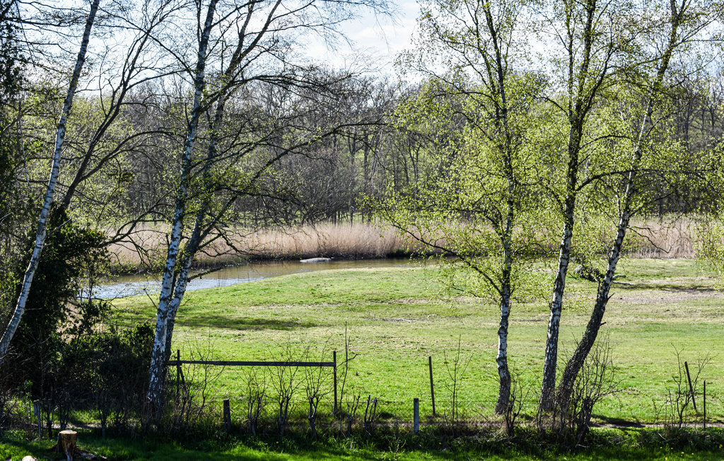 Feriehuse - Ronneby/Listerby/Millegarne , Sverige - S20225 19