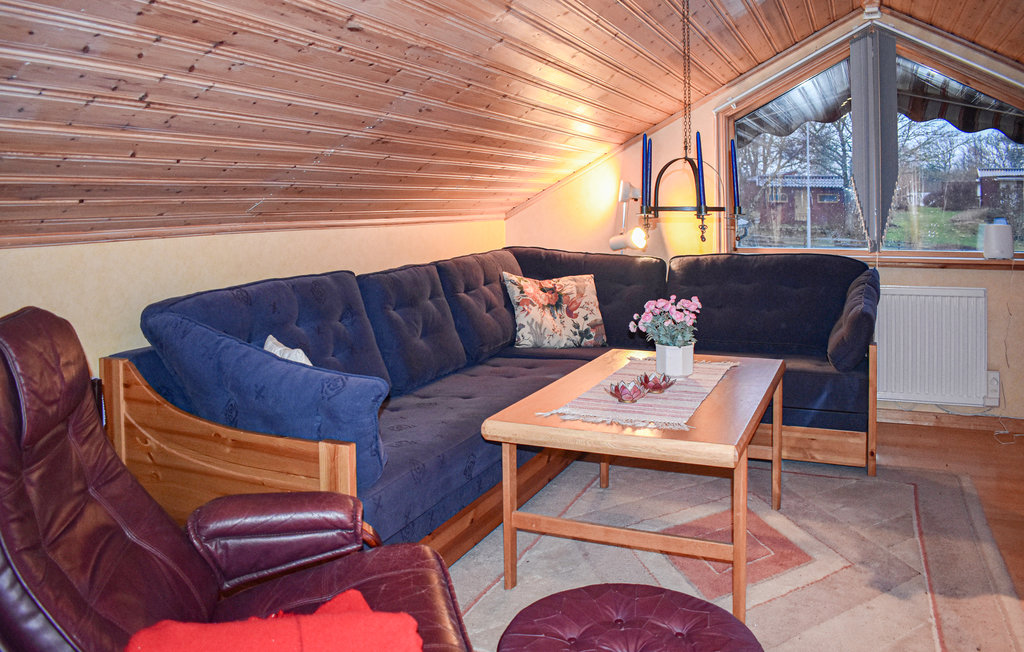 Ferienwohnung - Ronneby/Millegarne , Schweden - S20220 2