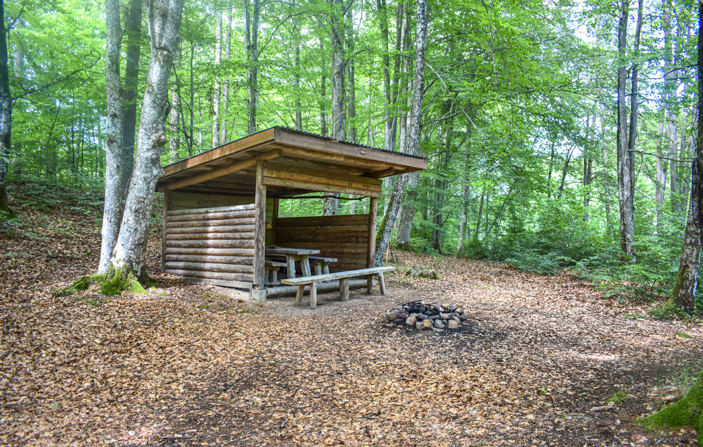 Feriehuse - Svängsta/Mörrum , Sverige - S20322 8