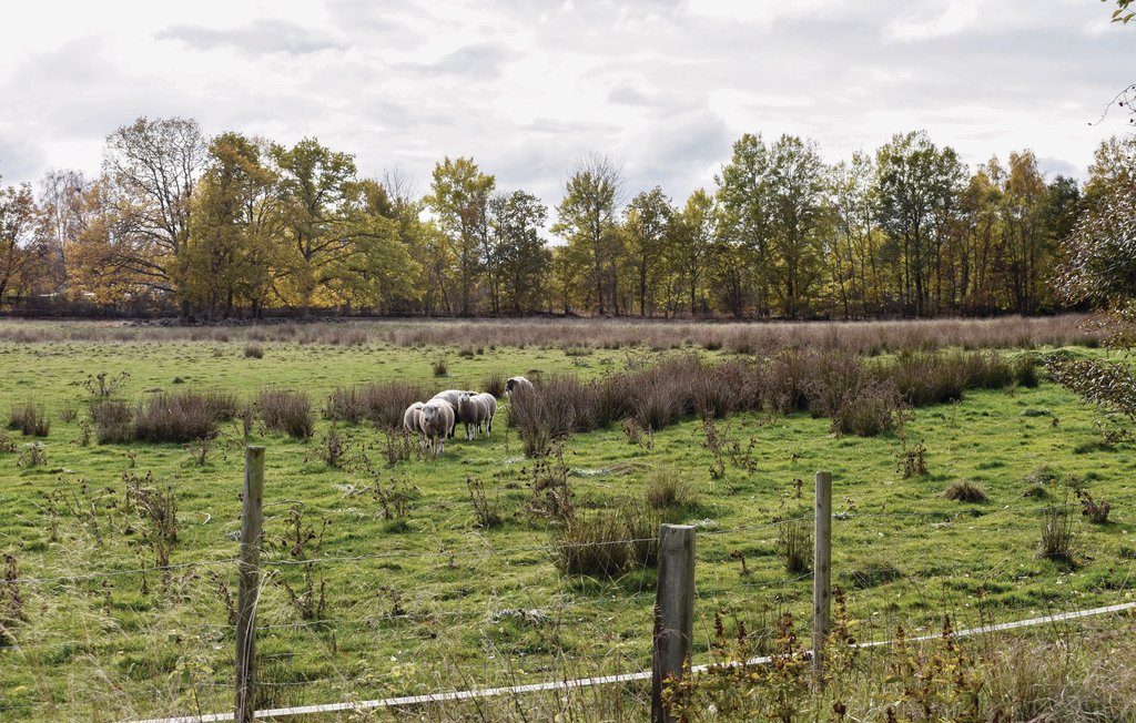 Feriehus - Karlskrona/Björkenäs/Jämjö , Sverige - S20173 17