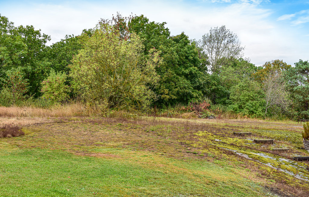 Ferienhaus - Mörrum/Karlshamn , Schweden - S20218 10