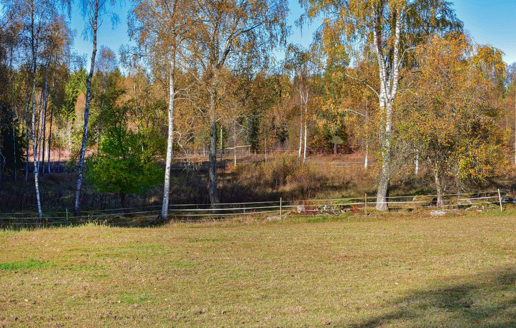 Feriehuse - Olofström/Mörrum/Kyrkhult , Sverige - S20335 13