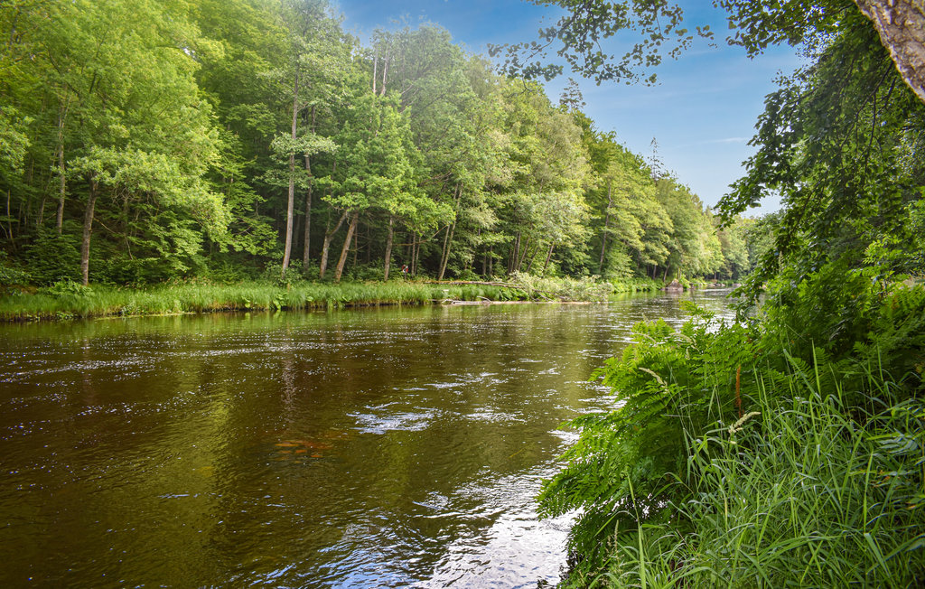Feriehuse - Svängsta/Mörrum , Sverige - S20322 9