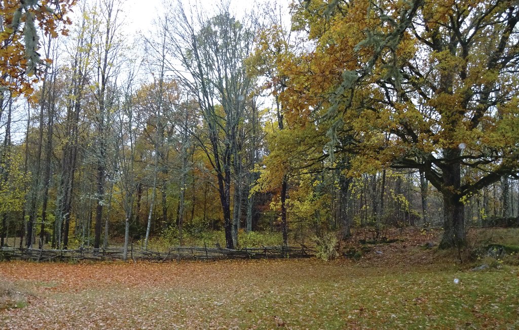 Feriehuse - Karlskrona/Holmsjö , Sverige - S20125 7