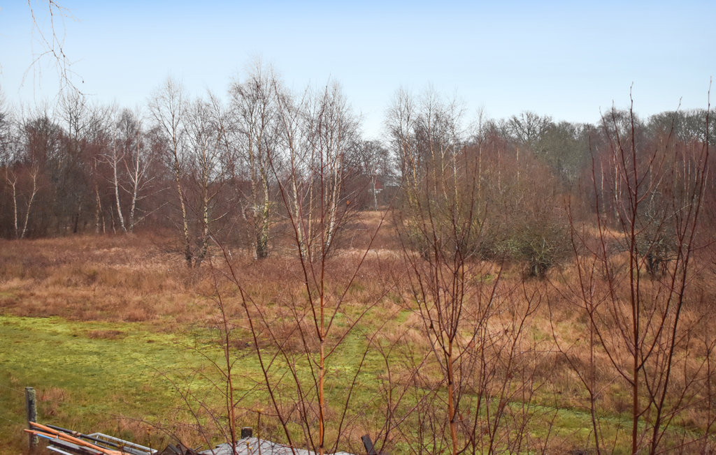 Ferienwohnung - Ronneby/Millegarne , Schweden - S20220 6