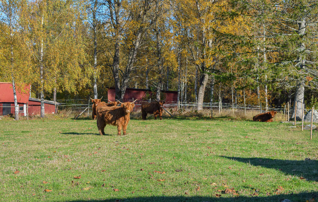 Feriehuse - Olofström/Mörrum/Kyrkhult , Sverige - S20335 12