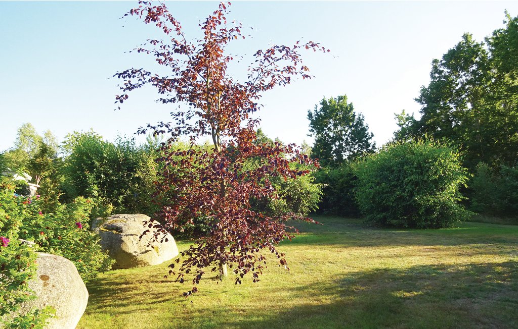 Ferienhaus - Sölvesborg , Schweden - S20122 13