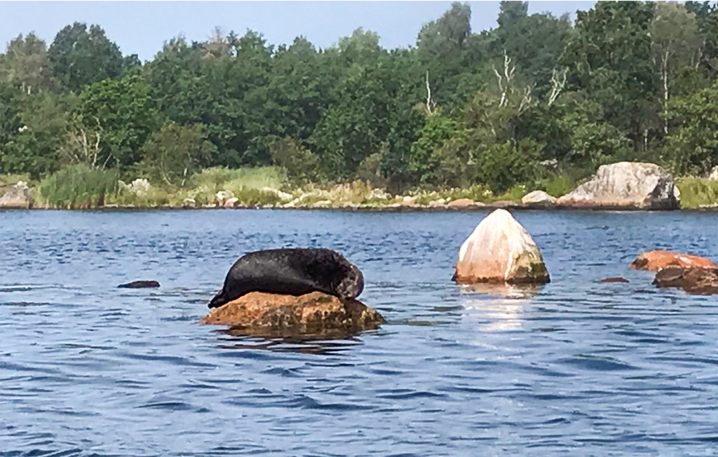 Feriehuse - Blekinge Skärgård/Yttre Stekön , Sverige - S20293 26