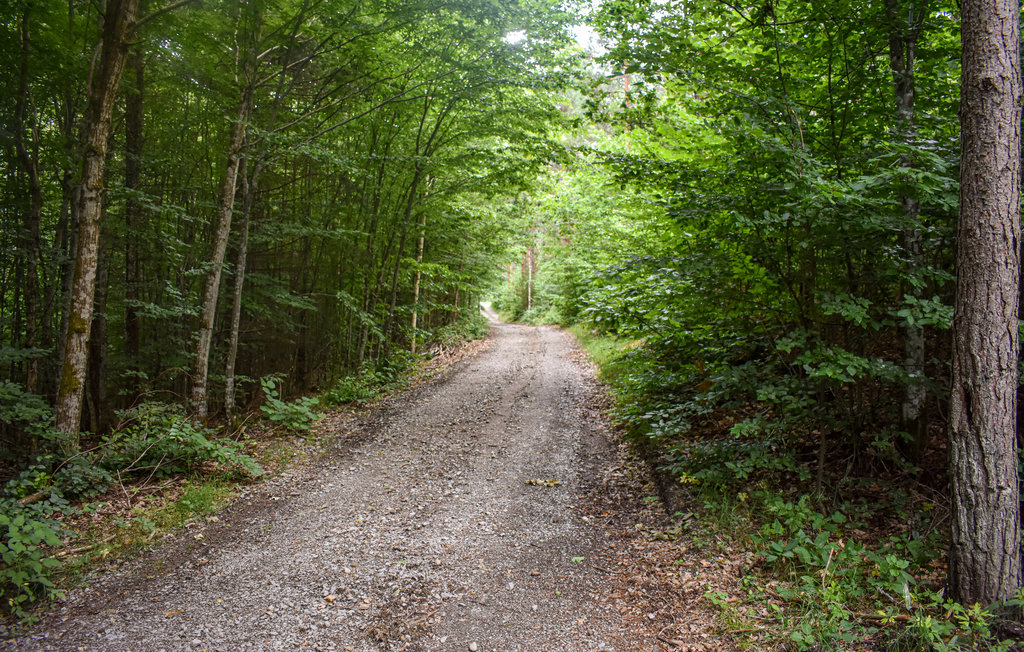 Feriehuse - Svängsta/Mörrum , Sverige - S20322 14