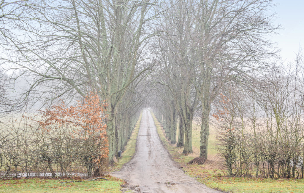 Feriehuse - Listerby , Sverige - S20209 13