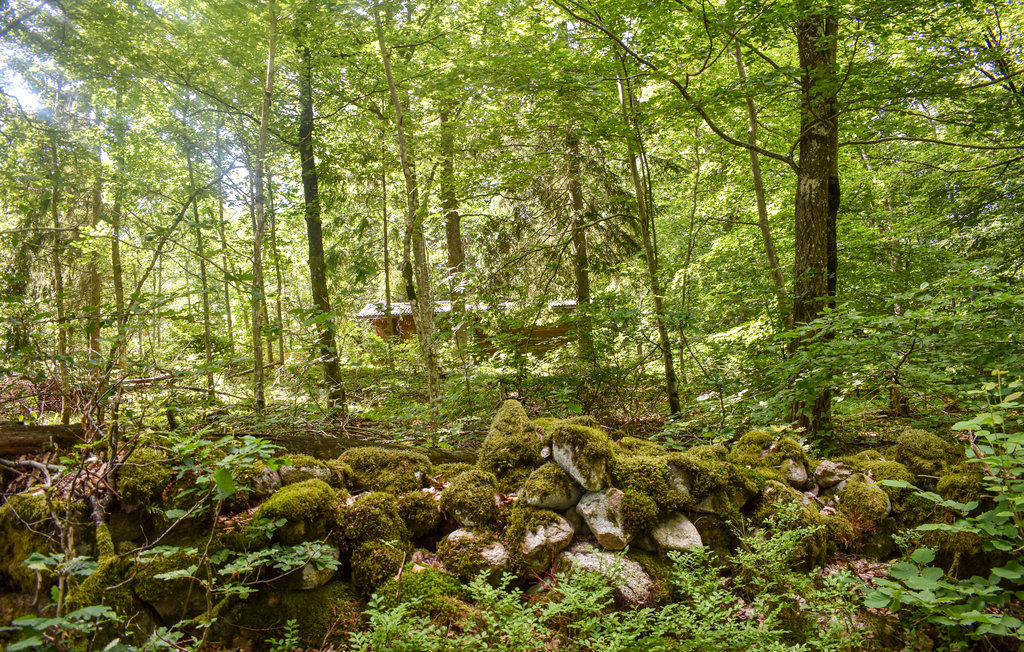 Feriehuse - Svängsta/Mörrum , Sverige - S20322 12