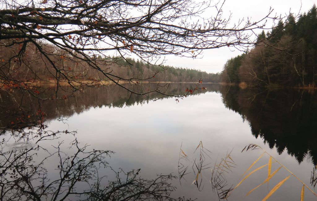 Feriehuse - Bräkne Hoby , Sverige - S20008 30