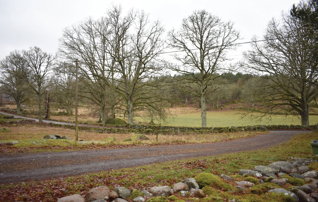 Feriehuse - Bräkne Hoby , Sverige - S20178 26