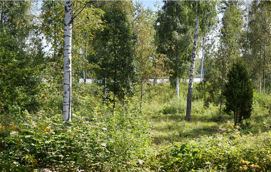 Feriehus - Holmsjö , Sverige - S20262 15
