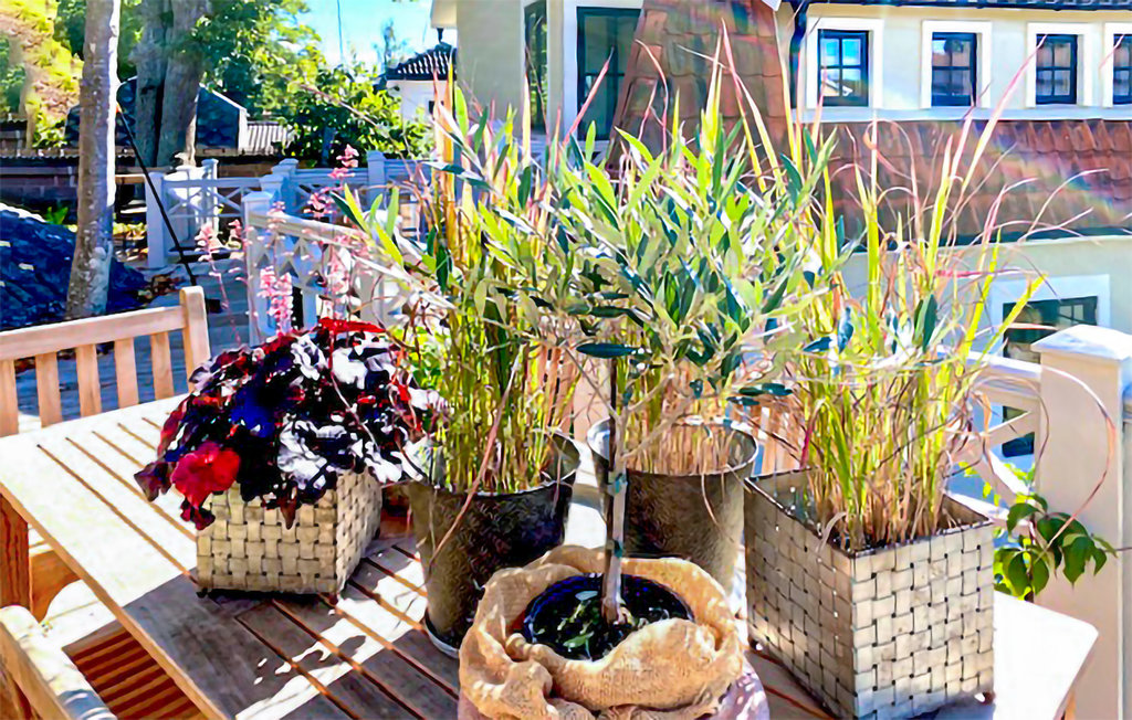 Semesterhus - Mörrum/Karlshamn , Sverige - S20234 11