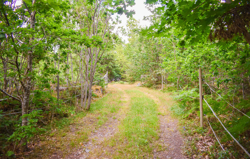 Ferienhaus - Backaryd/Ronneby , Schweden - S20367 12