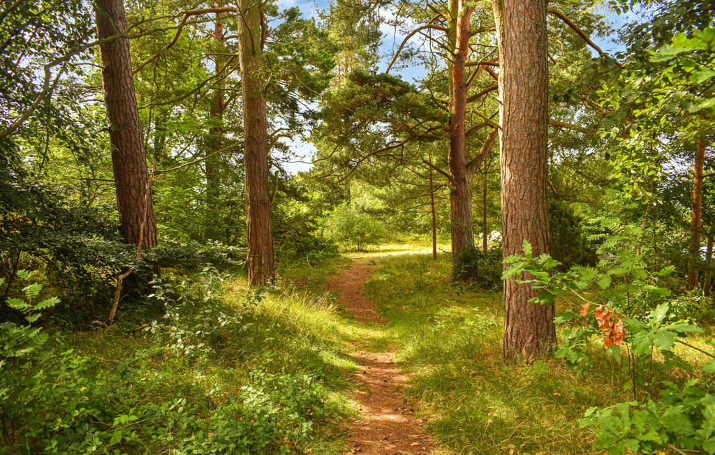 Ferienhaus - Sölvesborg , Schweden - S20348 22