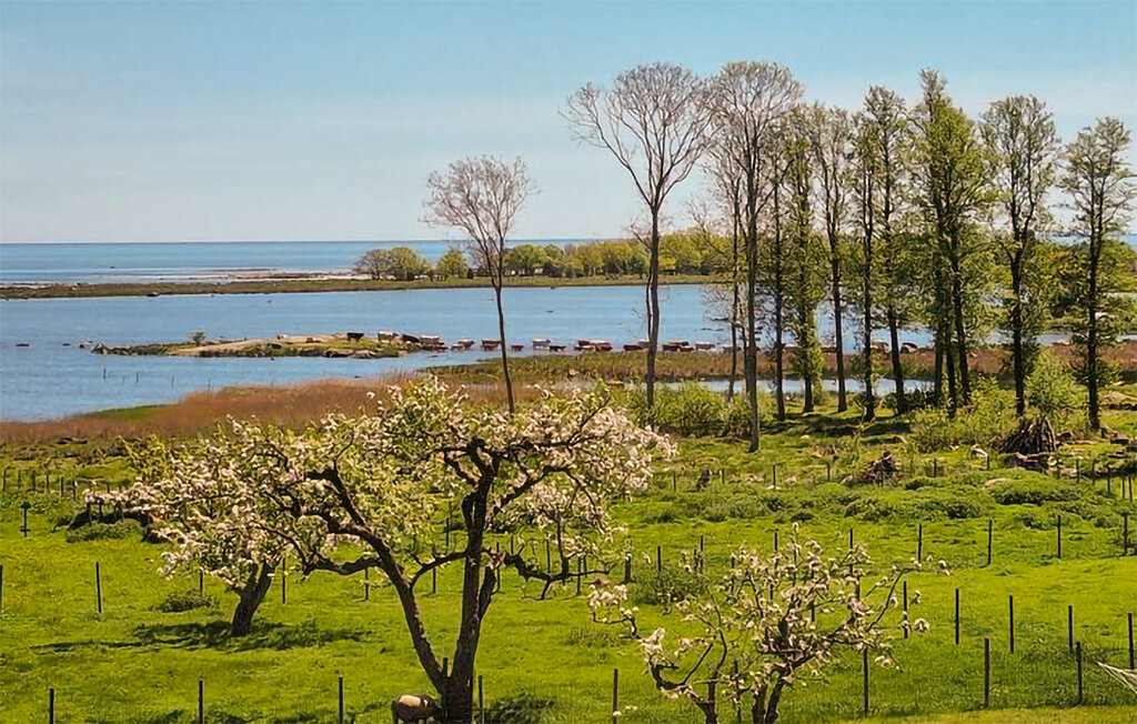 Feriehuse - Torhamn/Karlskrona , Sverige - S20386 13