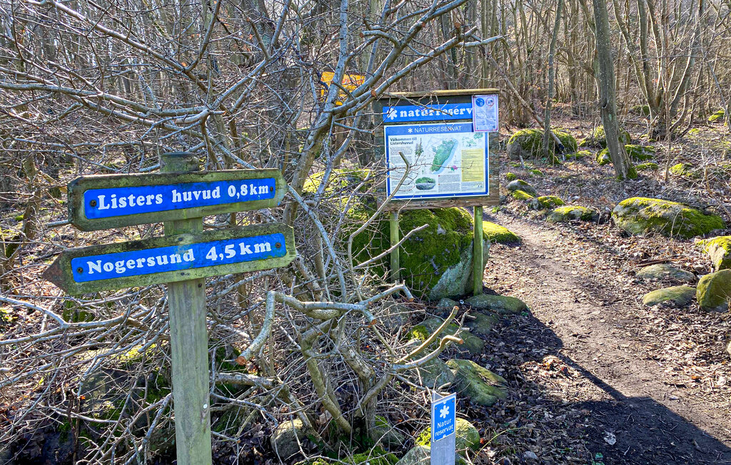 Domy wakacyjne - Hörvik/Sölvesborg , Szwecja - S20390 25