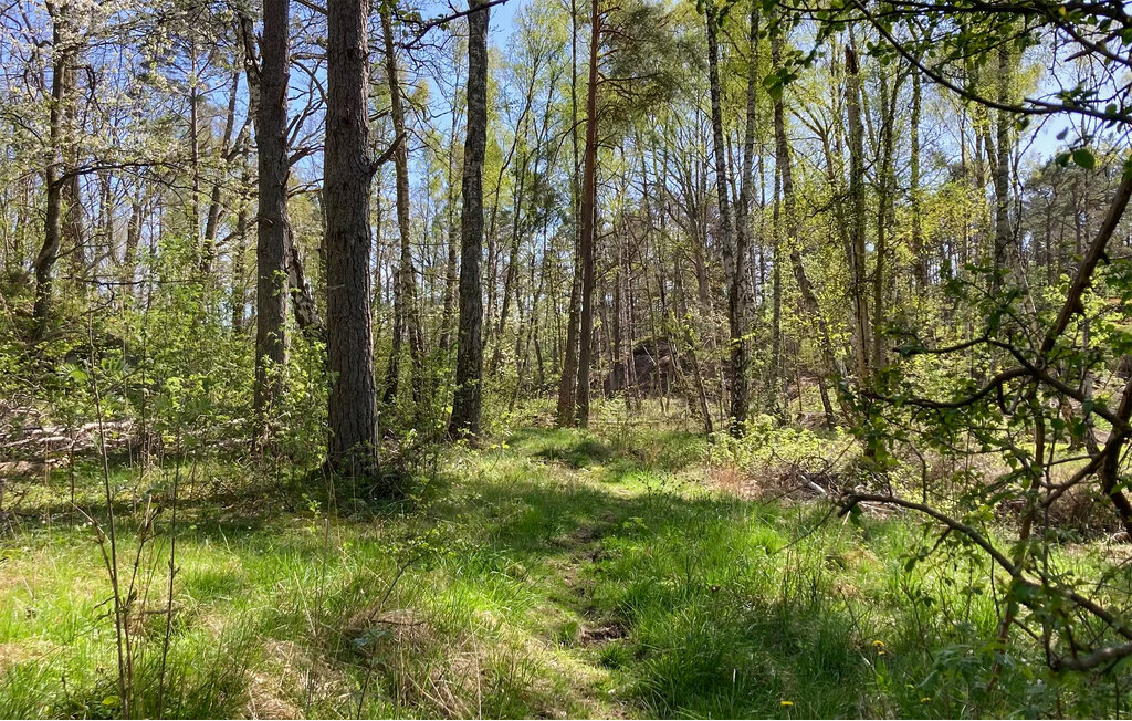 Kuća-za-odmor - Karlshamn/Blekinge Skärgård , Švedska - S20395 20