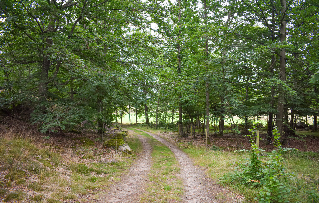 Ferienhaus - Ronneby/Johannishus , Schweden - S20407 17