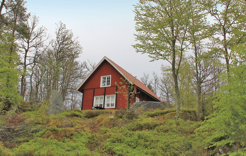 Bild 5 Bild 5