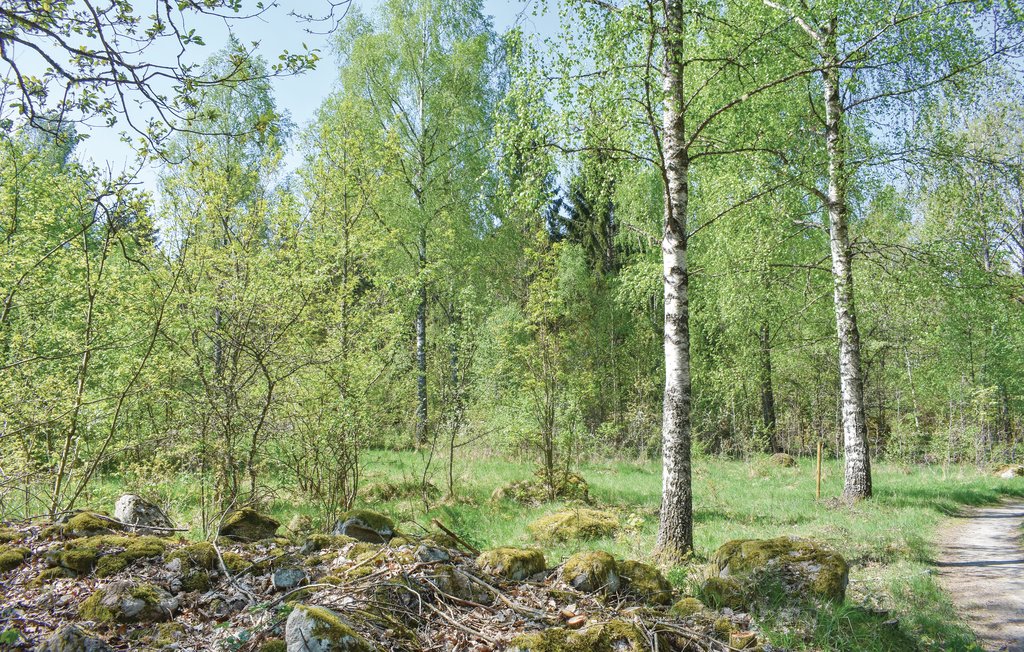 Bild 14 Bild 14