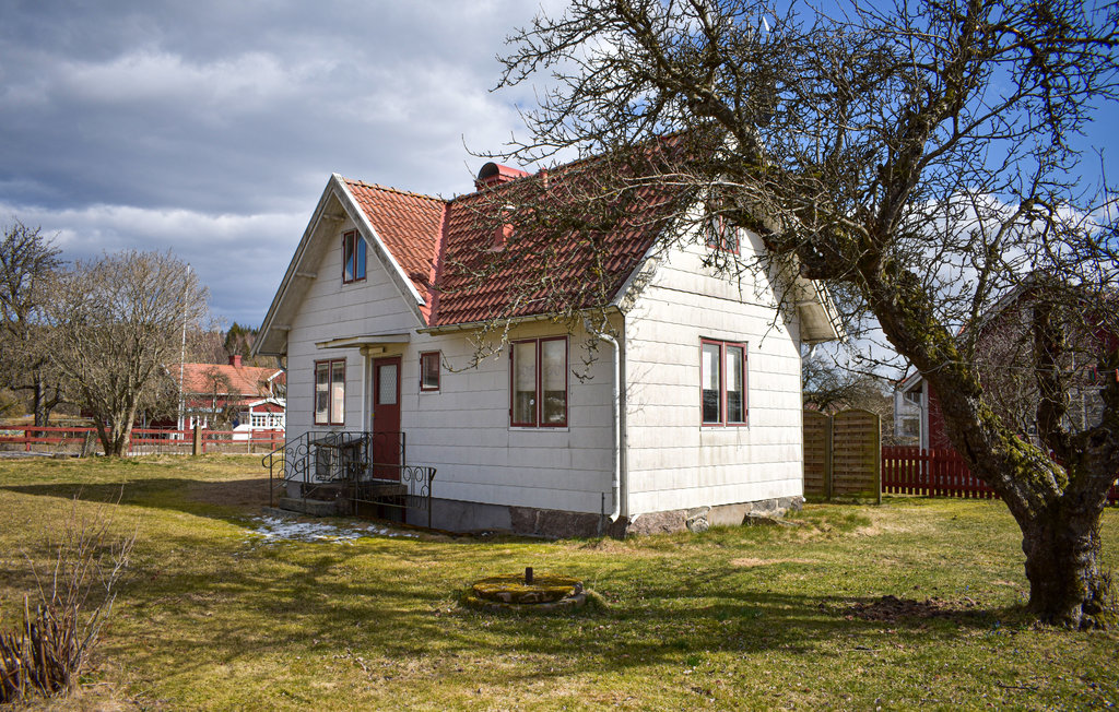 Bild 4 Bild 4