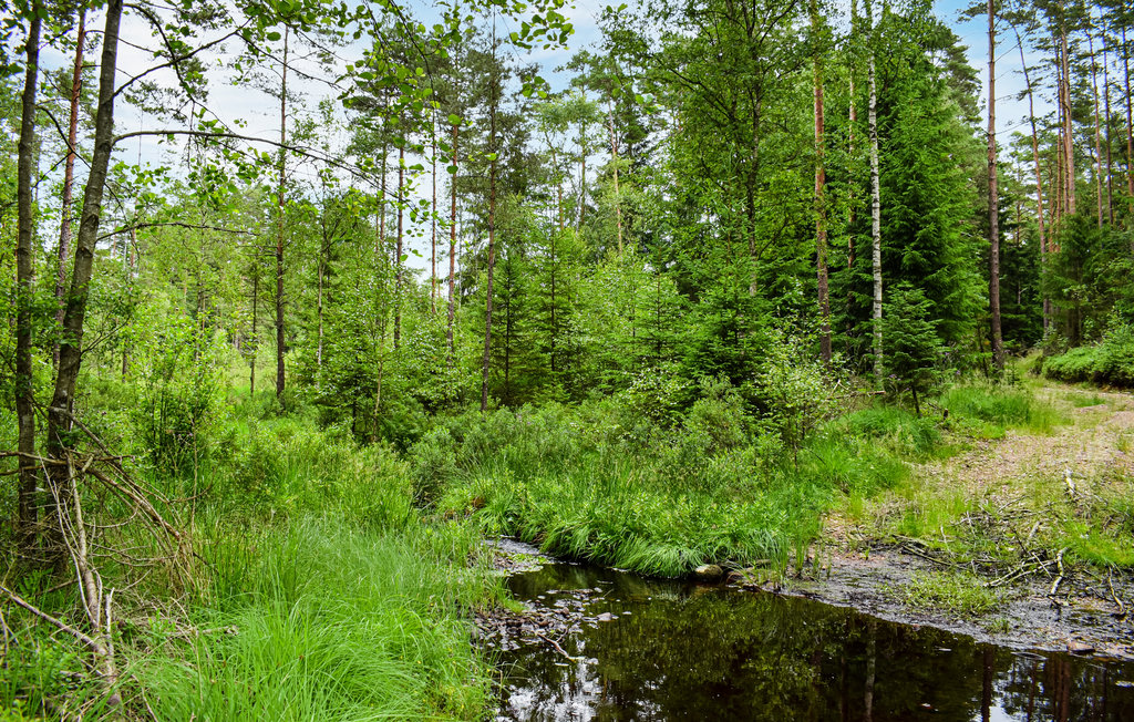 Ferienhaus Markaryd , Schweden S25333 Novasol