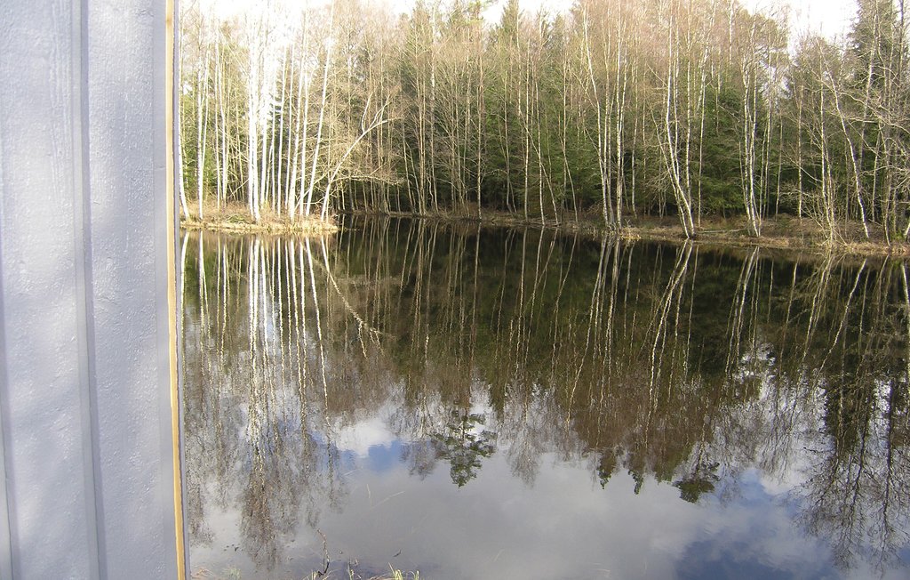 Ferienhaus - Mårarp/Ryssby , Schweden - S25041 9