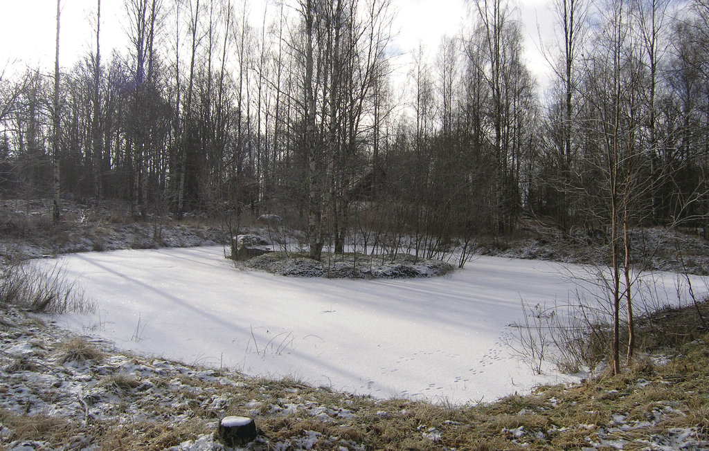 Ferienhaus - Agunnaryd , Schweden - S25055 5