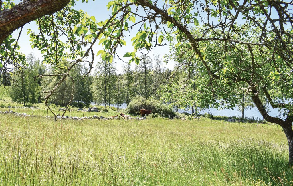 Feriehus - Ryd , Sverige - S25258 9