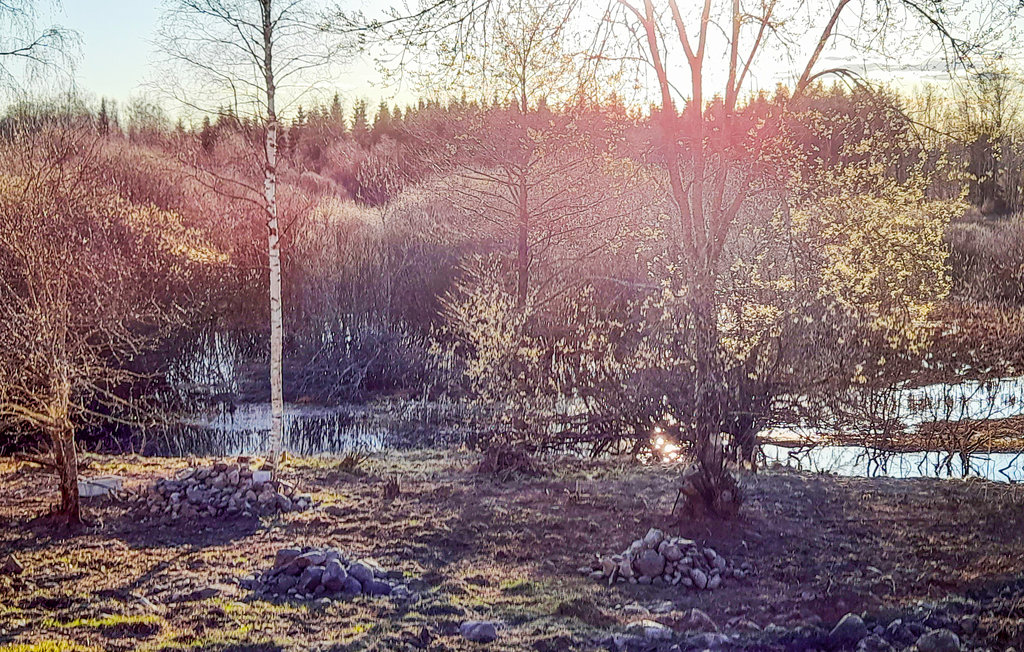 Ferienhaus - Pjätteryd/Älmhult , Schweden - S25308 9