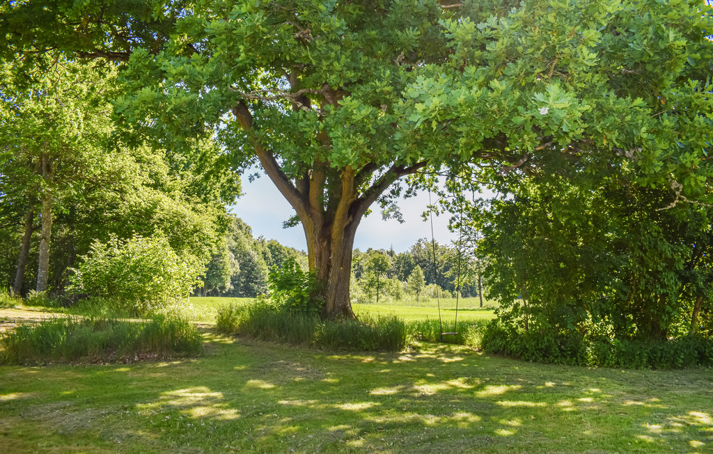 Feriehus - Silkesnäs/Åsnen , Sverige - S25142 11