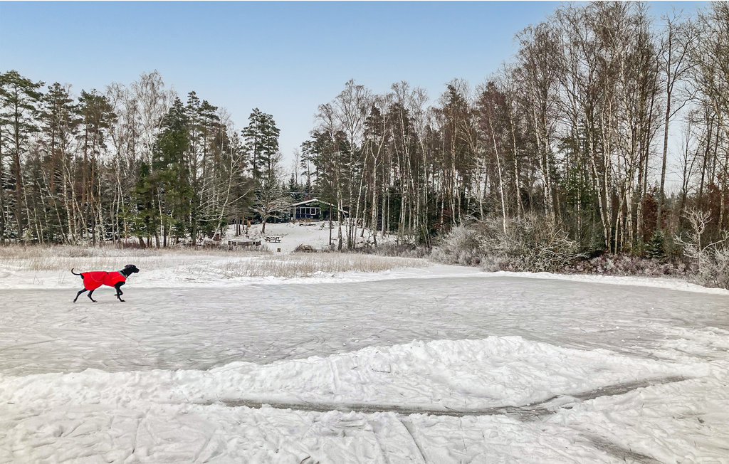 Ferienhaus - Tingsryd , Schweden - S25228 26