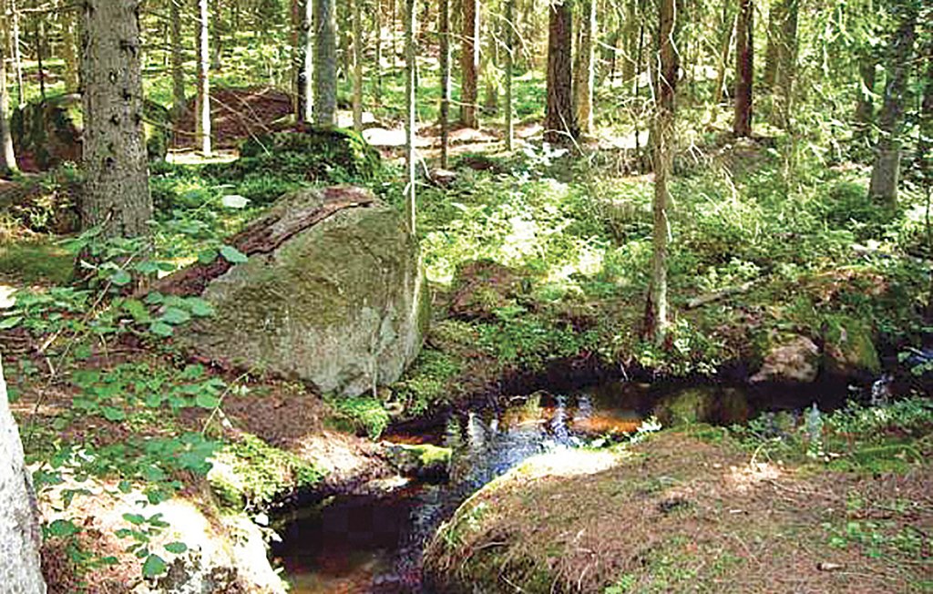 Ferienhaus - Tingsryd , Schweden - S25228 18