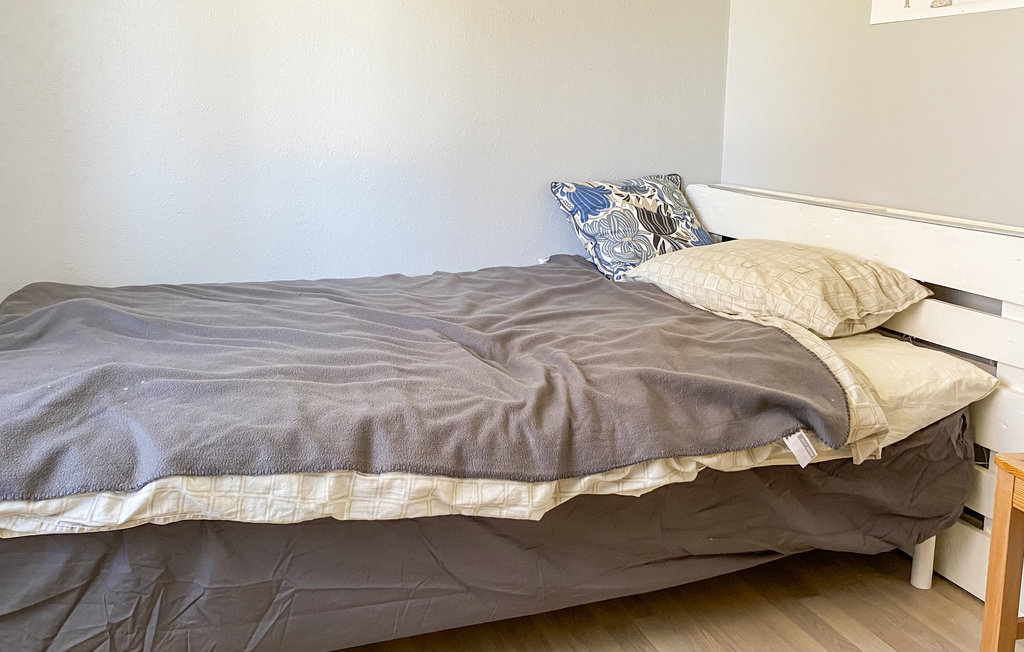 Ferienhaus - Bolmen , Schweden - S25362 29