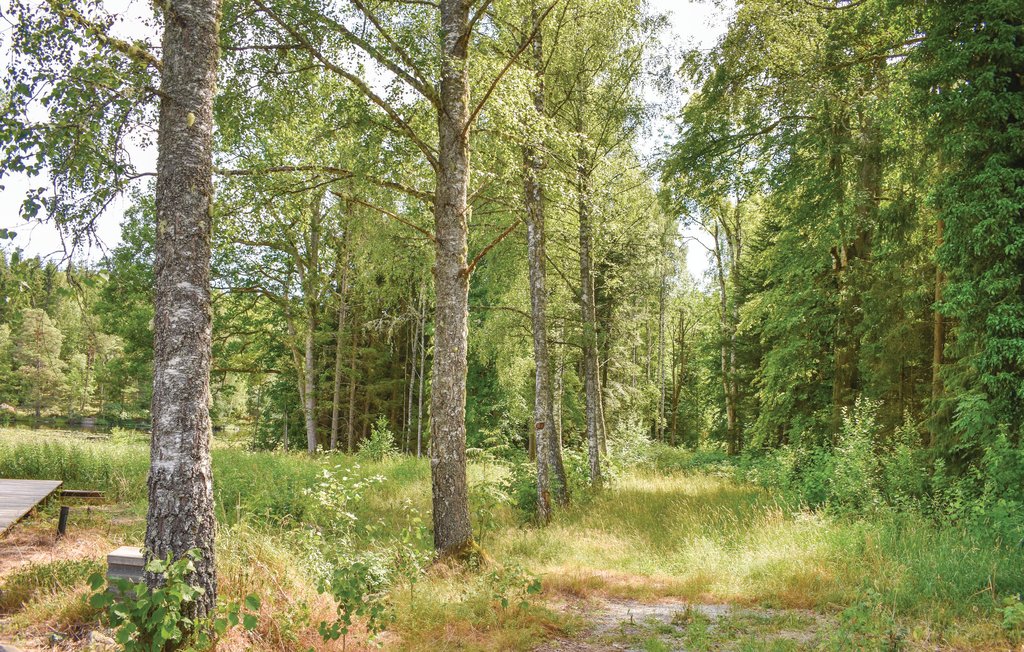 Ferienhaus - Tingsryd , Schweden - S25241 10