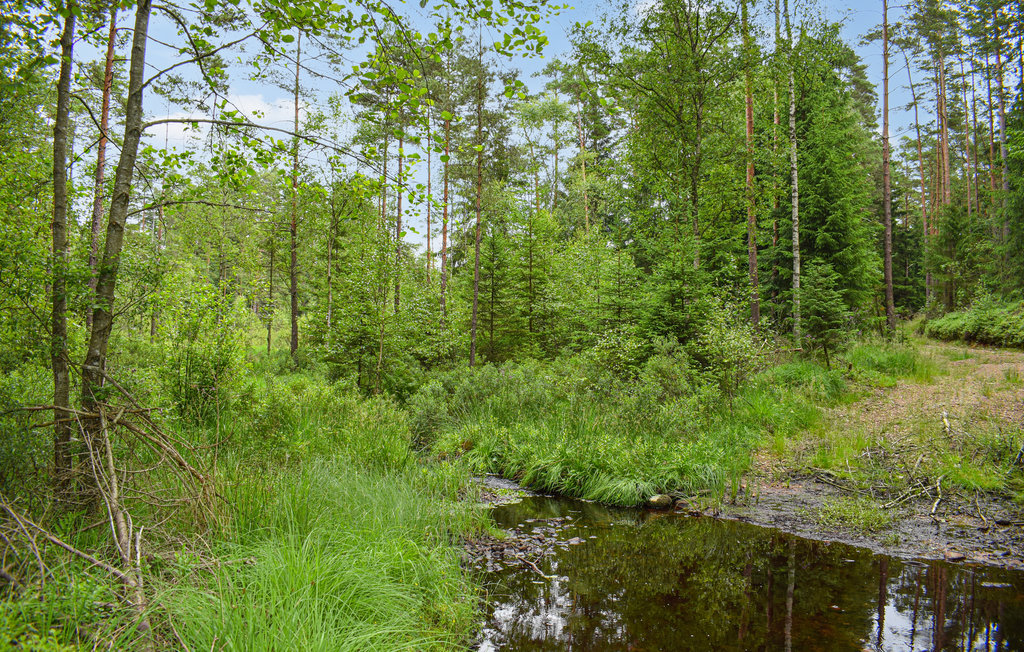 Feriehus - Markaryd , Sverige - S25332 15