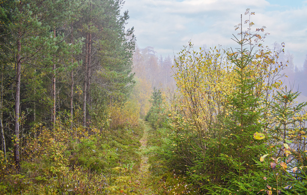 Feriehus - Ryd , Sverige - S25335 8