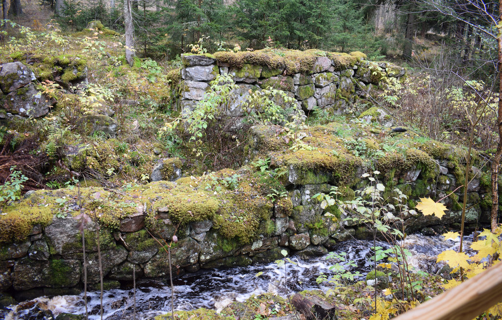 Ferienhaus - Mårarp/Ryssby , Schweden - S25041 20