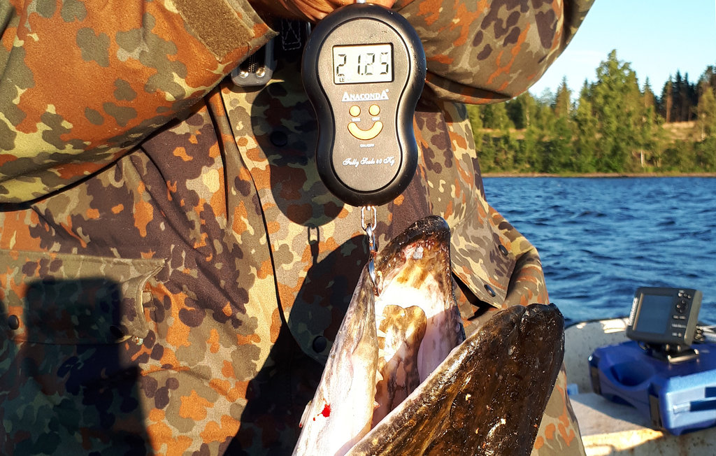 Feriehus - Bolmen/Odensjö , Sverige - S25278 22