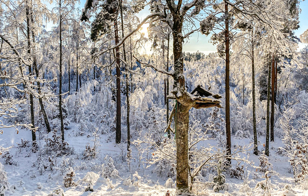 Ferienhaus - Dörarp/Ljungby , Schweden - S25316 16