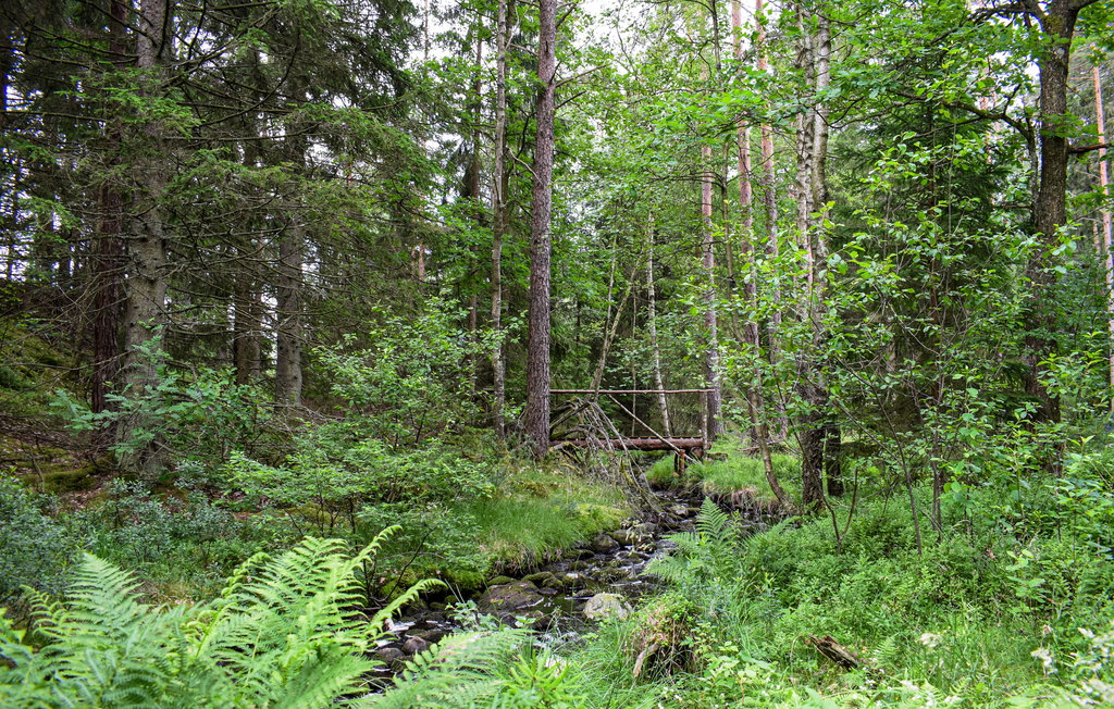 Ferienhaus - Markaryd , Schweden - S25333 27