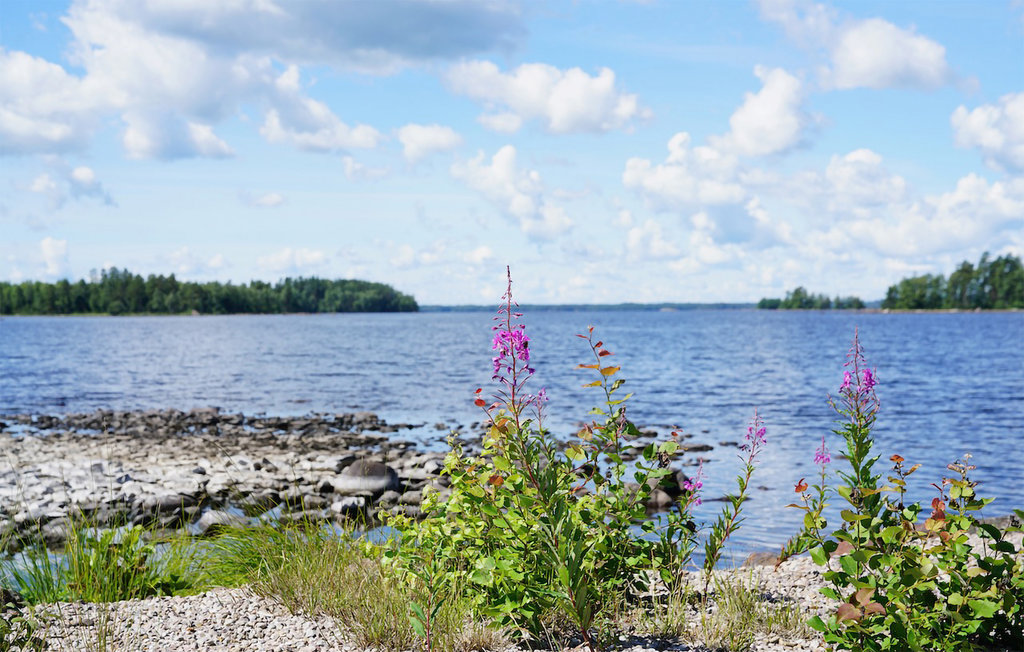 Ferienhaus - Hovmantorp/Rottnen , Schweden - S25101 19