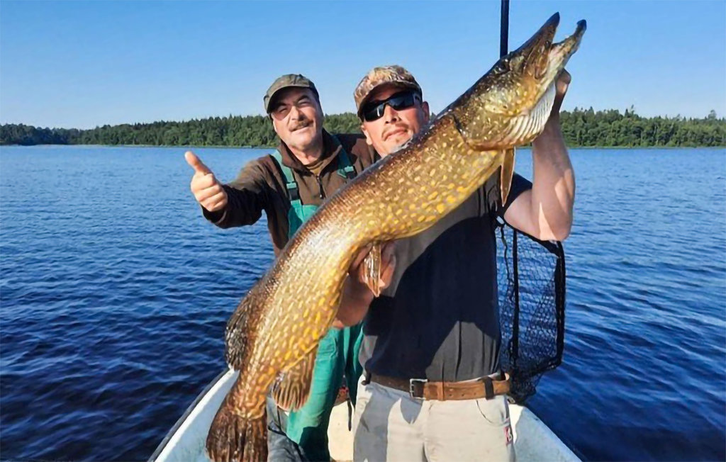 Feriehus - Bolmen/Odensjö , Sverige - S25278 17