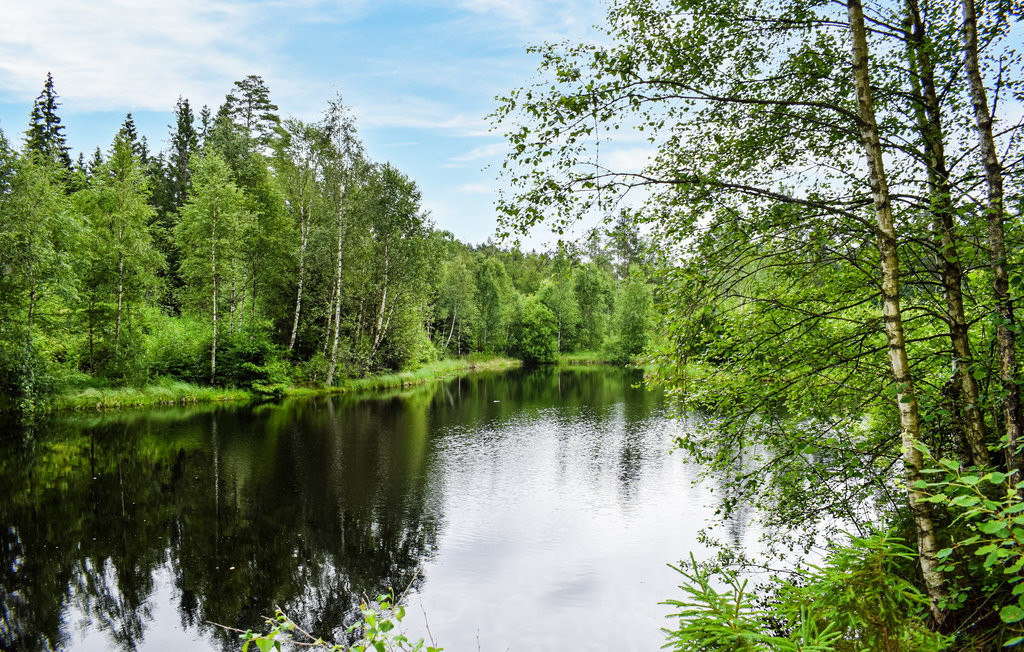 Ferienhaus - Markaryd , Schweden - S25333 28